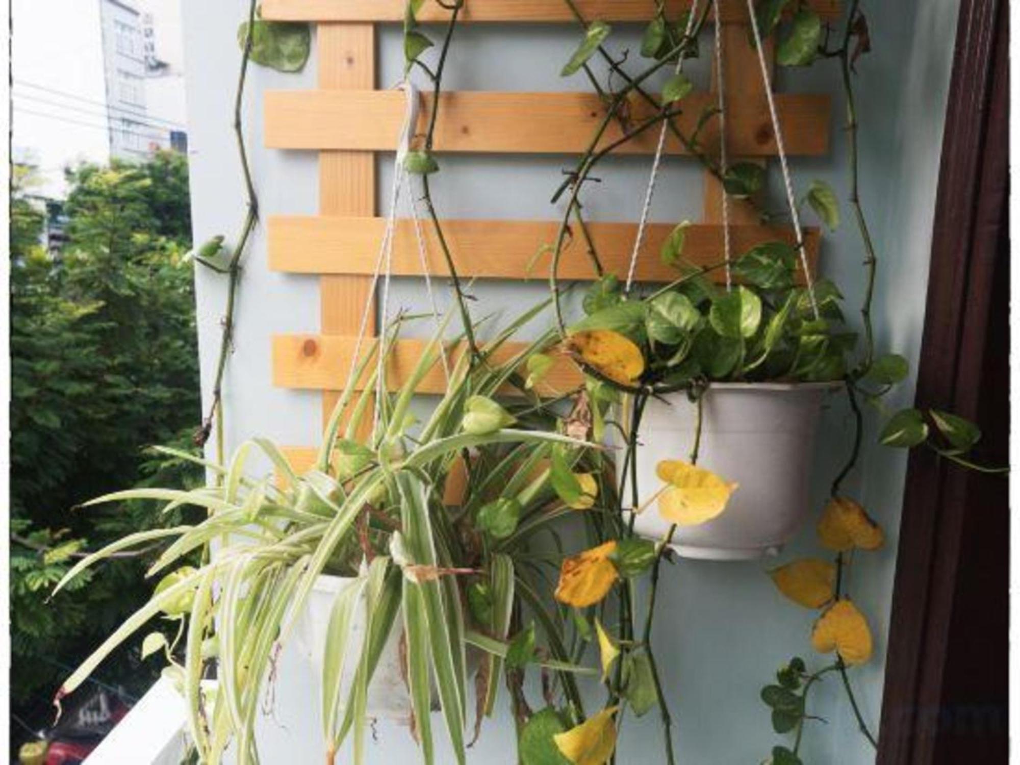 Oyo 1168 Elly'S Home 2 Da Nang Exterior foto